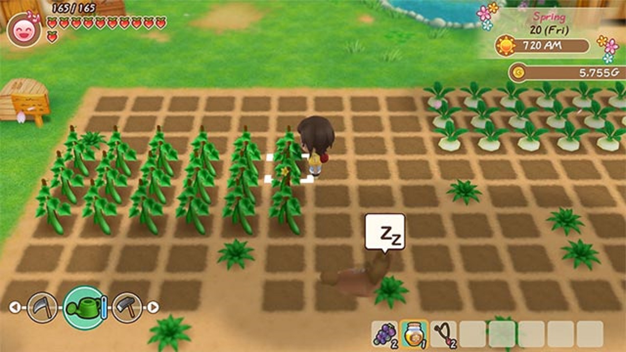 Story of Seasons 4