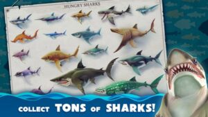 Hungry Shark Evolution 4