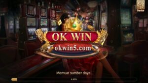 OKwin 3