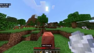 Minecraft 1.21.43 3