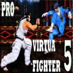 Pro-Virtua-Fighter-5-icon